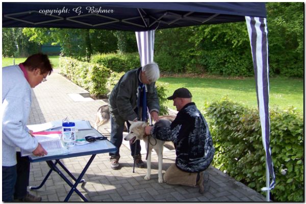 Zuchtzulassung 2010 031.JPG